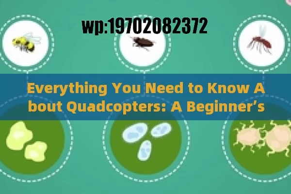 Everything You Need to Know About Quadcopters: A Beginner’s Guide to Flying Drones in the U.S.