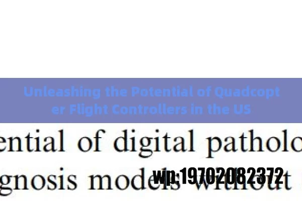 Unleashing the Potential of Quadcopter Flight Controllers in the US