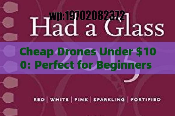 Cheap Drones Under $100: Perfect for Beginners to Take Flight!