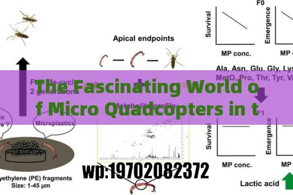 The Fascinating World of Micro Quadcopters in the US