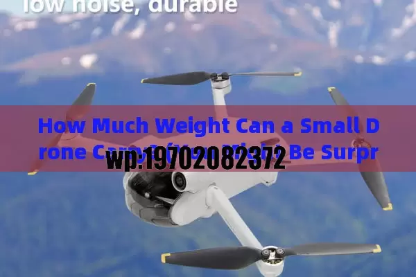 How Much Weight Can a Small Drone Carry? (You Might Be Surprised!)